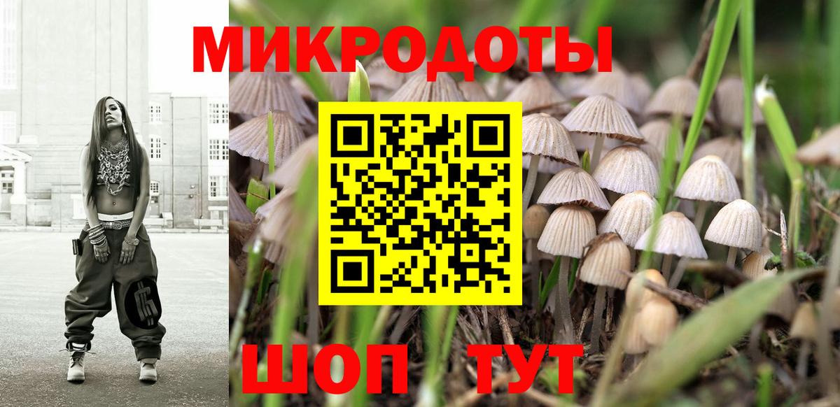 Псилоцибиновые грибы Psilocybine cubensis Йошкар-Ола